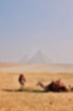 four seasons egypt