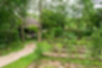 The on-site farms at Six Senses Yao Noi