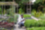 Gili Lankananfushi Maldives' Chef Harinath Govindaraj 